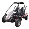 Crossfire Blazer 200R 200cc Go Kart Crossfire Blazer 200R 200cc Go Kart