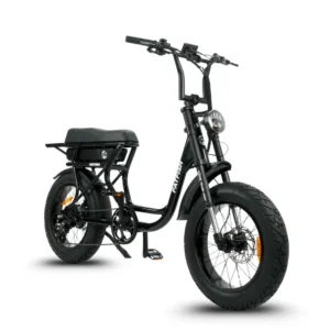fatfish step 21ah fat tyre e bike