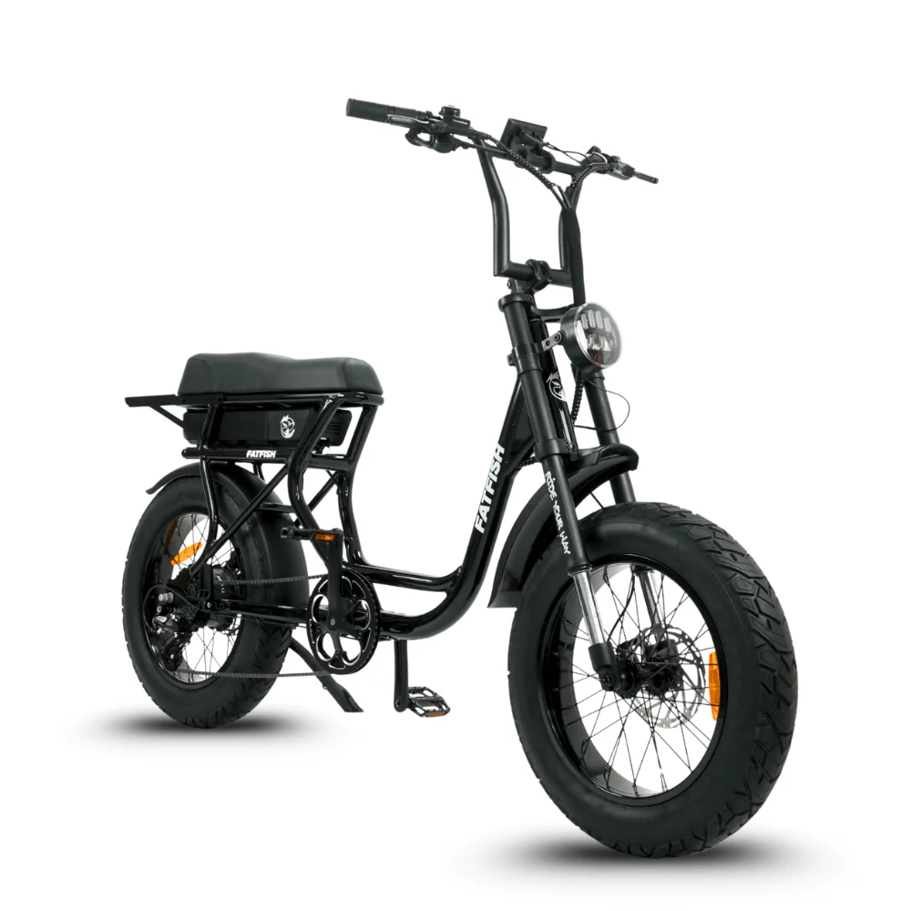 fatfish step 21ah fat tyre e bike fatfish step 21ah fat tyre e bike