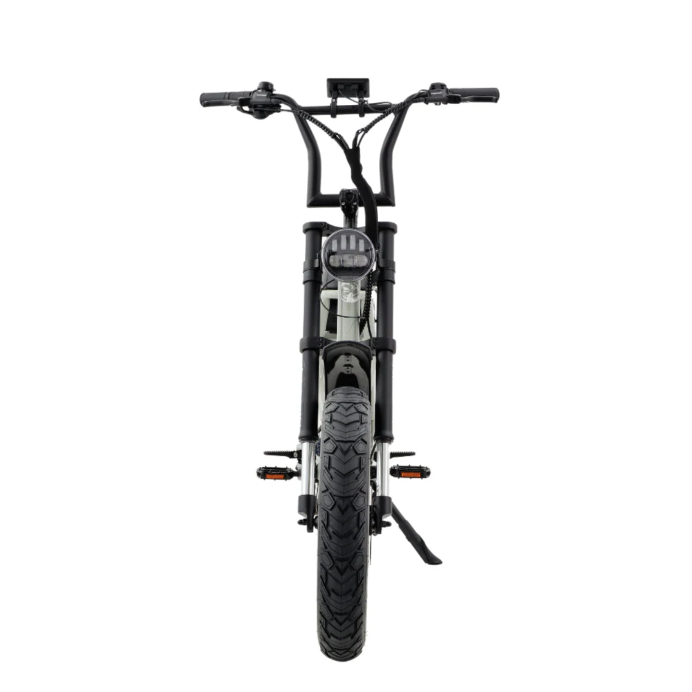 fatfish step 21ah fat tyre e bike fatfish step 21ah fat tyre e bike