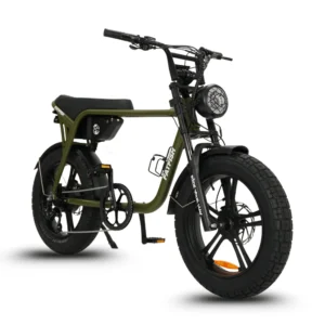 Fatfish OG 2.0 Fat Tyre E-Bike