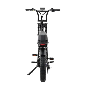 fatfish step 21ah fat tyre e bike