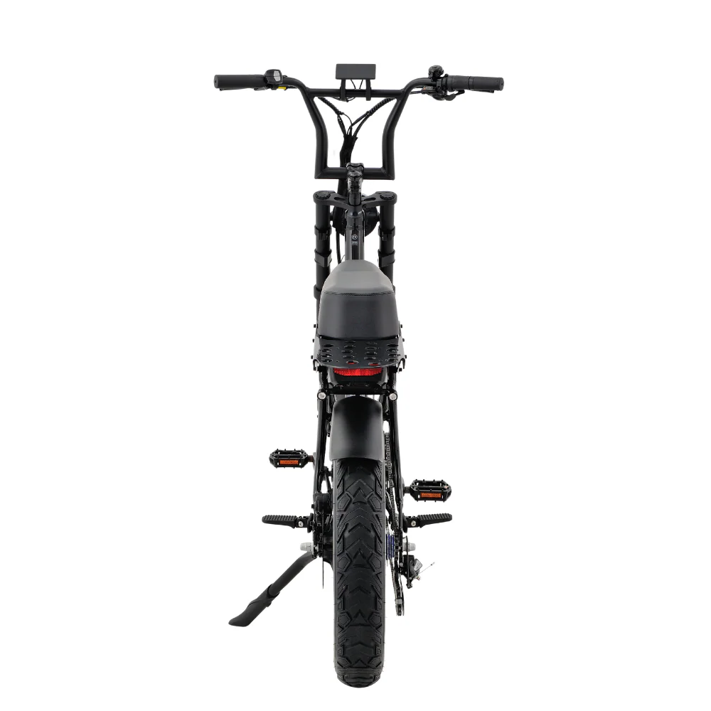 fatfish step 21ah fat tyre e bike fatfish step 21ah fat tyre e bike