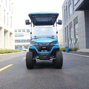 2 seater – blue